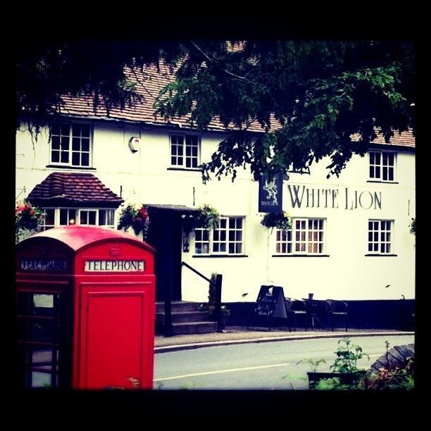 The White Lion